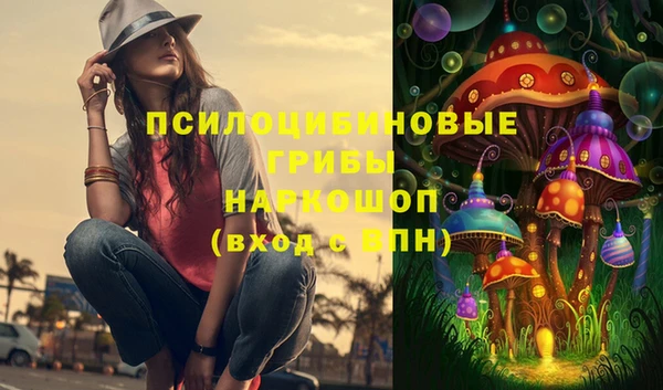 ешки Алзамай