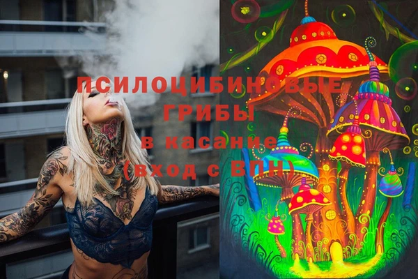 ешки Алзамай