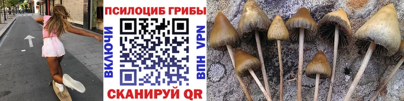 Псилоцибиновые грибы GOLDEN TEACHER  hydra зеркало  Бокситогорск 